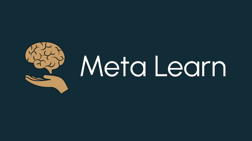Meta Learning