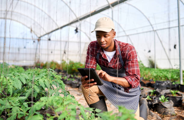 Agriculture is one of the strongest parts of Nigeria’s economy. With over 200 million people and a high demand for food, agriculture is still one of the best ways to make money in 2025. Many Nigerians are now moving into farming not just for food but also for business. This guide will show you the most profitable agricultural businesses in Nigeria that you can start today, even with small capital.